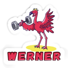 Flamingo Sticker Werner Image