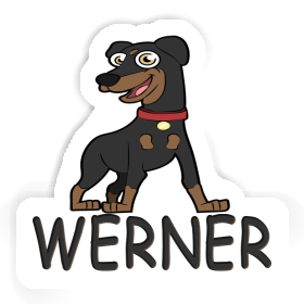 German Pinscher Sticker Werner Image