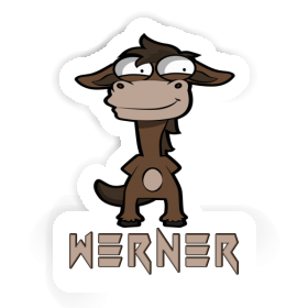 Werner Sticker Ross Image