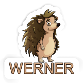 Sticker Hedgehog Werner Image