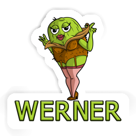 Sticker Kiwi Werner Image