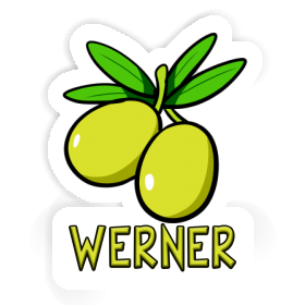 Sticker Werner Olive Image