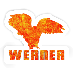 Aufkleber Eule Werner Image