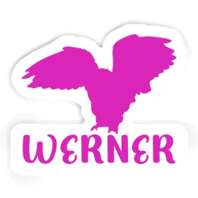 Owl Sticker Werner Image