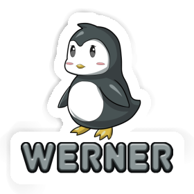 Sticker Pinguin Werner Image
