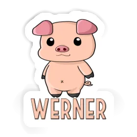 Sticker Schweinchen Werner Image