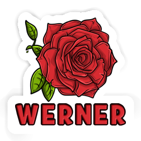Sticker Rosenblüte Werner Image