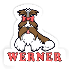 Shih Tzu Sticker Werner Image