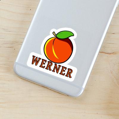 Werner Sticker Apricot Image