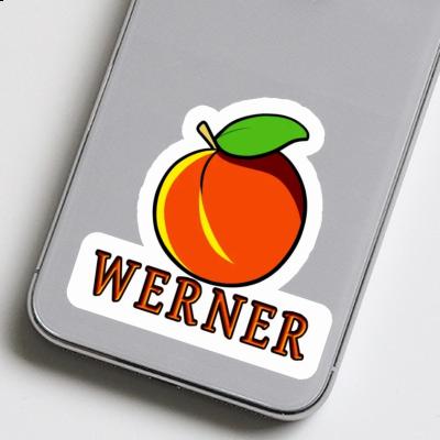 Aprikose Sticker Werner Image