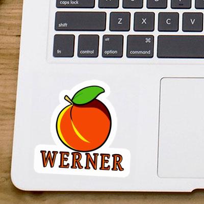 Werner Sticker Apricot Gift package Image