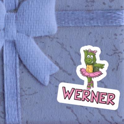 Werner Autocollant Tortue Gift package Image