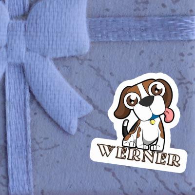 Autocollant Werner Beagle-Hund Gift package Image
