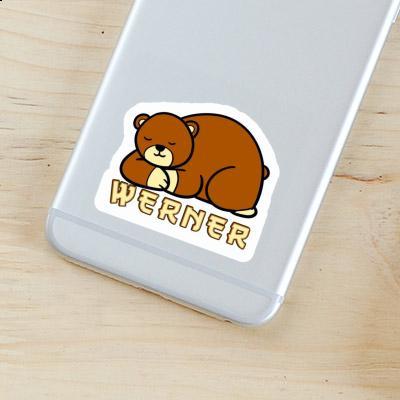 Bear Sticker Werner Image