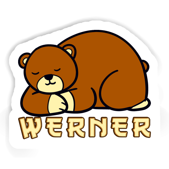 Bear Sticker Werner Notebook Image