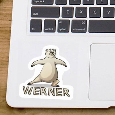 Sticker Werner Yoga Bear Laptop Image