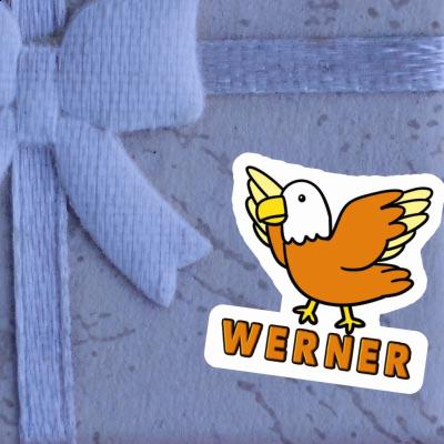 Autocollant Oiseau Werner Gift package Image