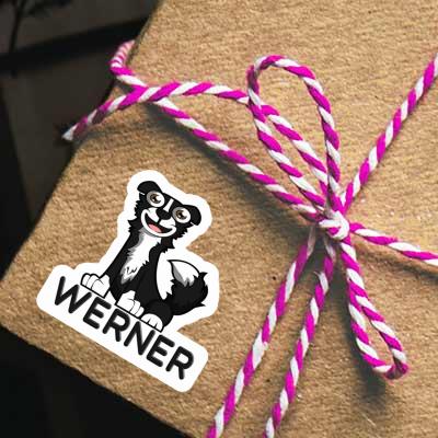Sticker Collie Werner Gift package Image