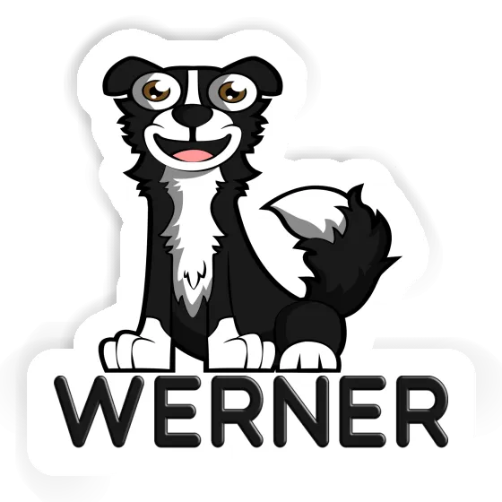 Border Collie Autocollant Werner Gift package Image
