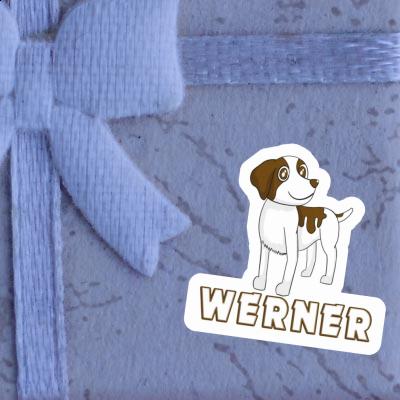 Werner Autocollant Épagneul Gift package Image