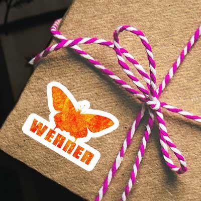 Werner Sticker Butterfly Notebook Image