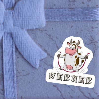 Werner Sticker Cow Notebook Image