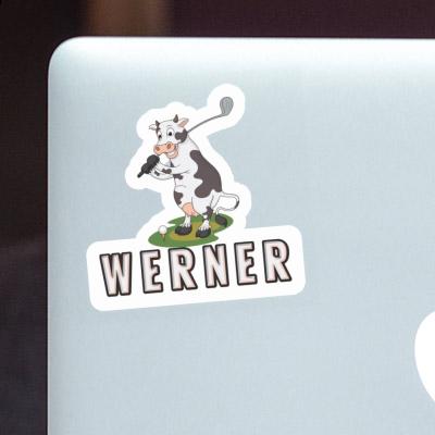 Werner Sticker Golf Cow Gift package Image