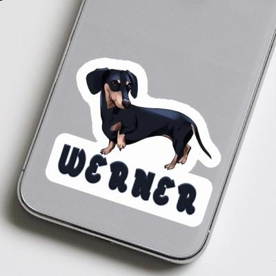 Sticker Dachshund Werner Laptop Image