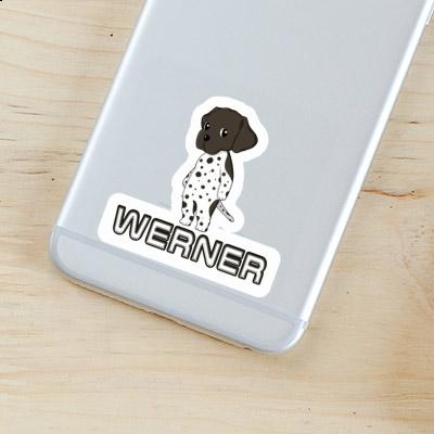 German Shorthaired Pointer Sticker Werner Image