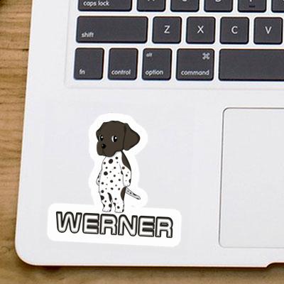 German Shorthaired Pointer Sticker Werner Notebook Image