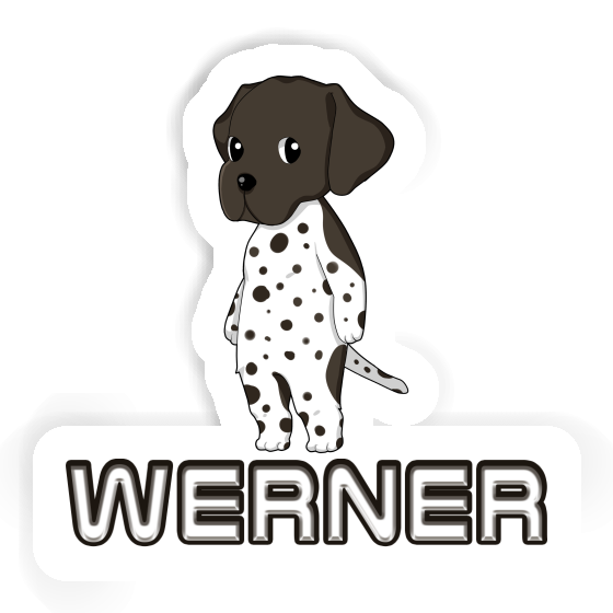 German Shorthaired Pointer Sticker Werner Gift package Image