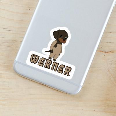 Sticker Werner German Wirehaired Gift package Image