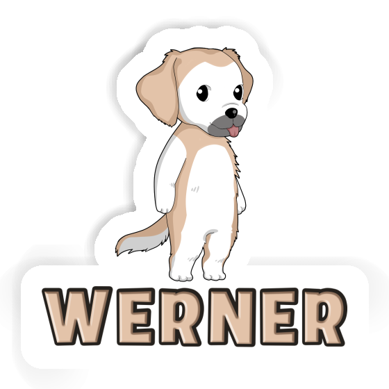 Golden Retriever Autocollant Werner Gift package Image