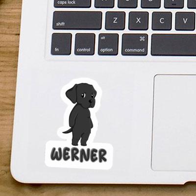 Labrador Sticker Werner Gift package Image