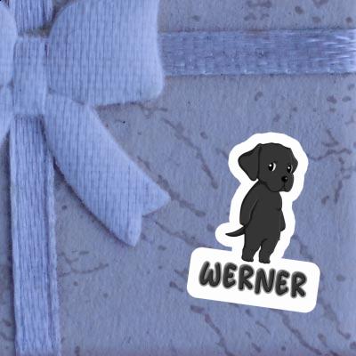 Labrador Sticker Werner Image