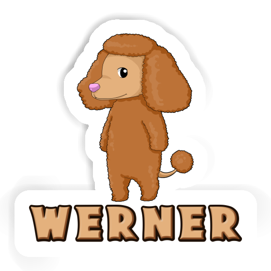 Autocollant Caniche Werner Gift package Image