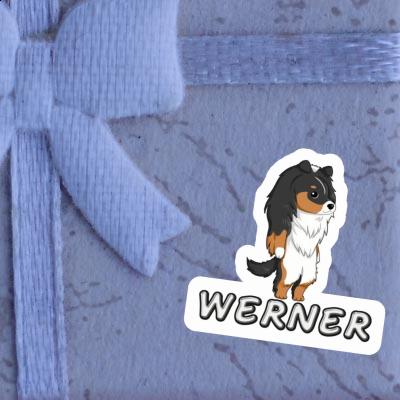Sheltie Autocollant Werner Gift package Image
