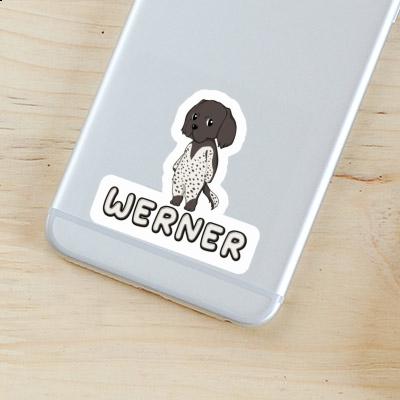 Small Munsterlander Sticker Werner Laptop Image