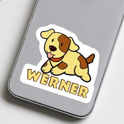 Autocollant Chien Werner Gift package Image