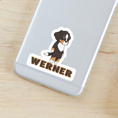 Bernese Mountain Dog Sticker Werner Image