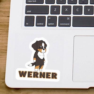 Bernese Mountain Dog Sticker Werner Laptop Image