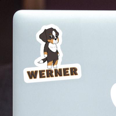 Bernese Mountain Dog Sticker Werner Gift package Image