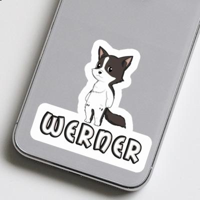 Werner Sticker Border Collie Laptop Image