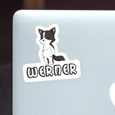 Sticker Werner Border Collie Laptop Image