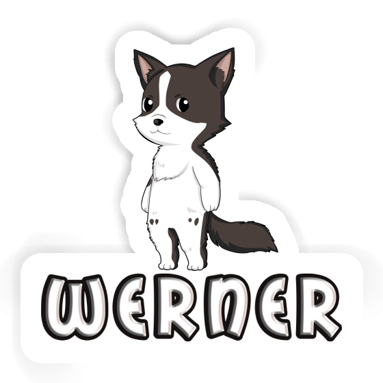 Werner Sticker Border Collie Laptop Image