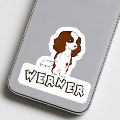 Sticker Cavalier King Charles Spaniel Werner Laptop Image
