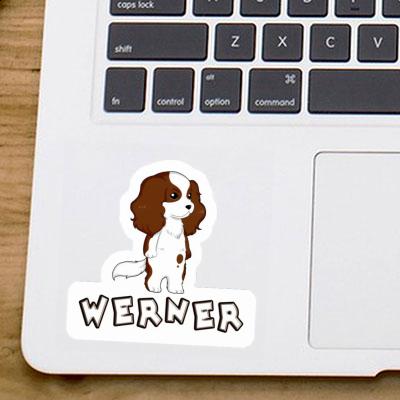 Sticker Werner Cavalier King Charles Spaniel Laptop Image