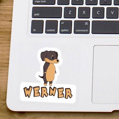 Dachshund Sticker Werner Laptop Image