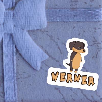Dachshund Sticker Werner Gift package Image