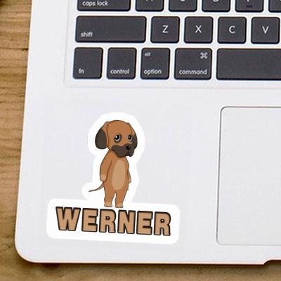 Sticker  Great Dane Werner Laptop Image